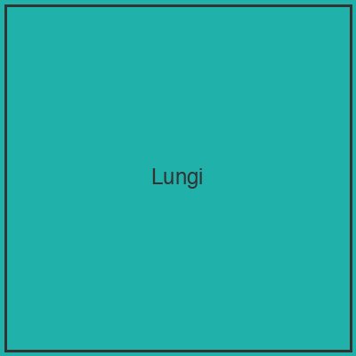 Lungi
